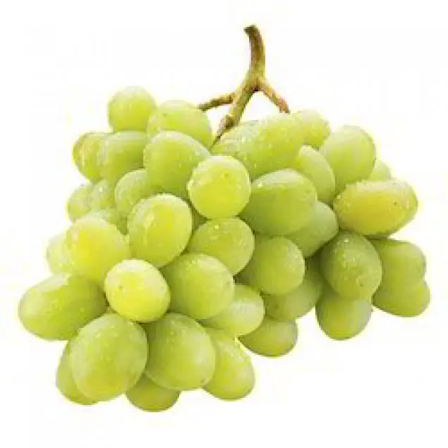 Fresh Grapes At Wholesale Prices For Export