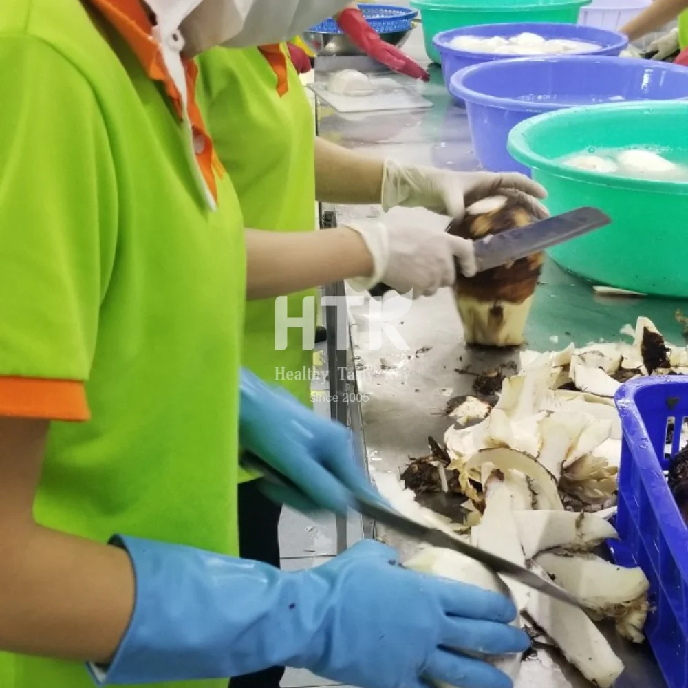 Factory bulk offer FROZEN IQF TARO ROOTS Cut 1/4 Halves Sliced Chunk Diced Cube Made In Vietnam for Food & Beverage