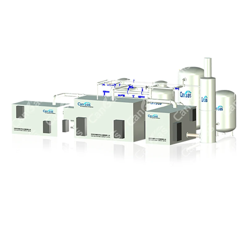 China CANGAS  VPSA oxygen generator Energy-saving Environment-friendly  for fish farm/water&Sewage treatment/Ozone/Glass/mining