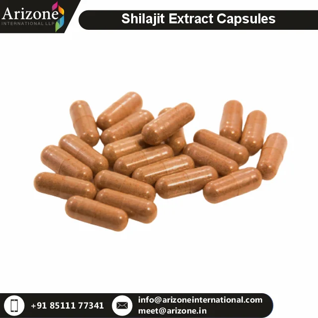 Shilajit Extract.png