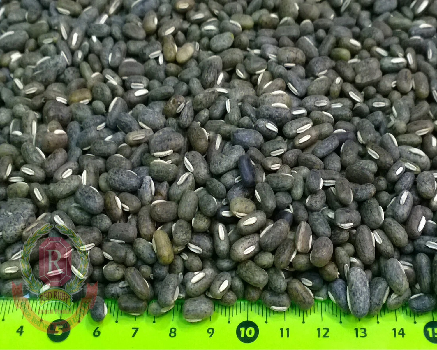 Black Bamboo Beans