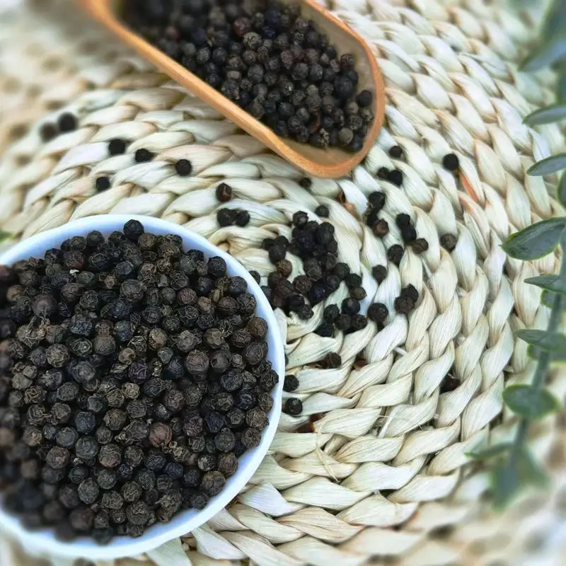 Wholesale Spice Dried Black Pepper / Sri Lanka Hot Black Pepper