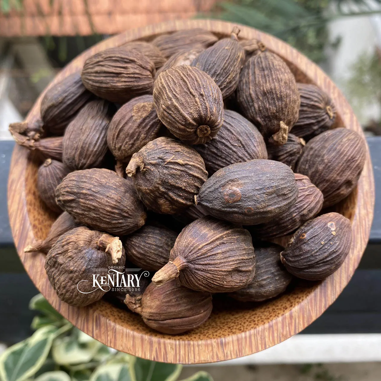 Wholesale Strong Flavor Black Cardamon Seeds Size 9mm Hight Quality Spices Best Price Factory in Vietnam 100% Pure non GMO