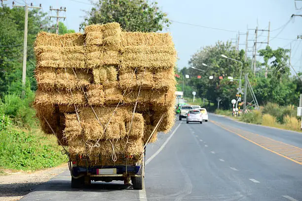 Easy Feed Haylage Organic Haylage FiberMax Haylage Grass Haylage Blend