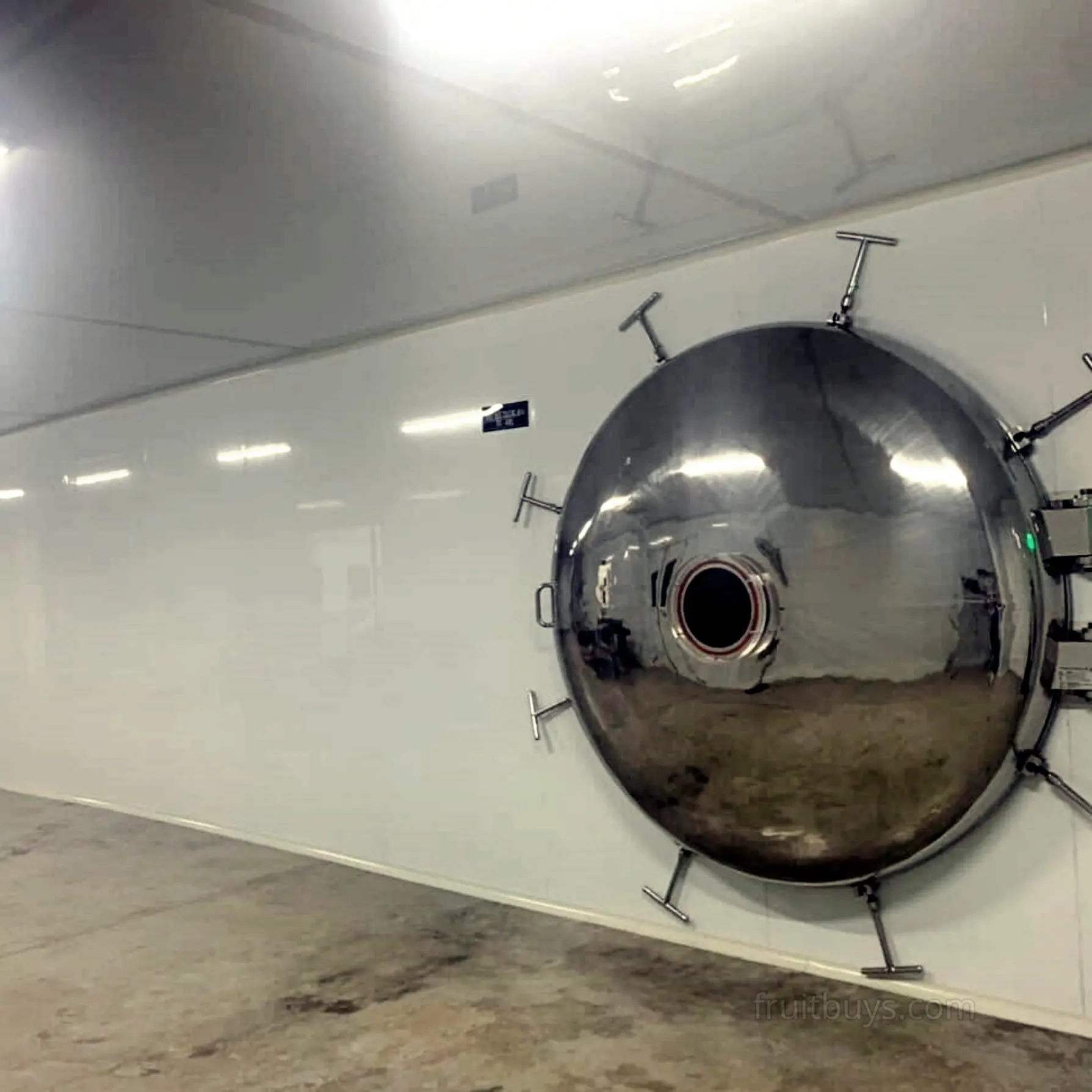 Organically Grown and Freeze Dried - Delicious Freeze-Dried Jackfruit Vietnam Snacks from FruitBuys Vietnam