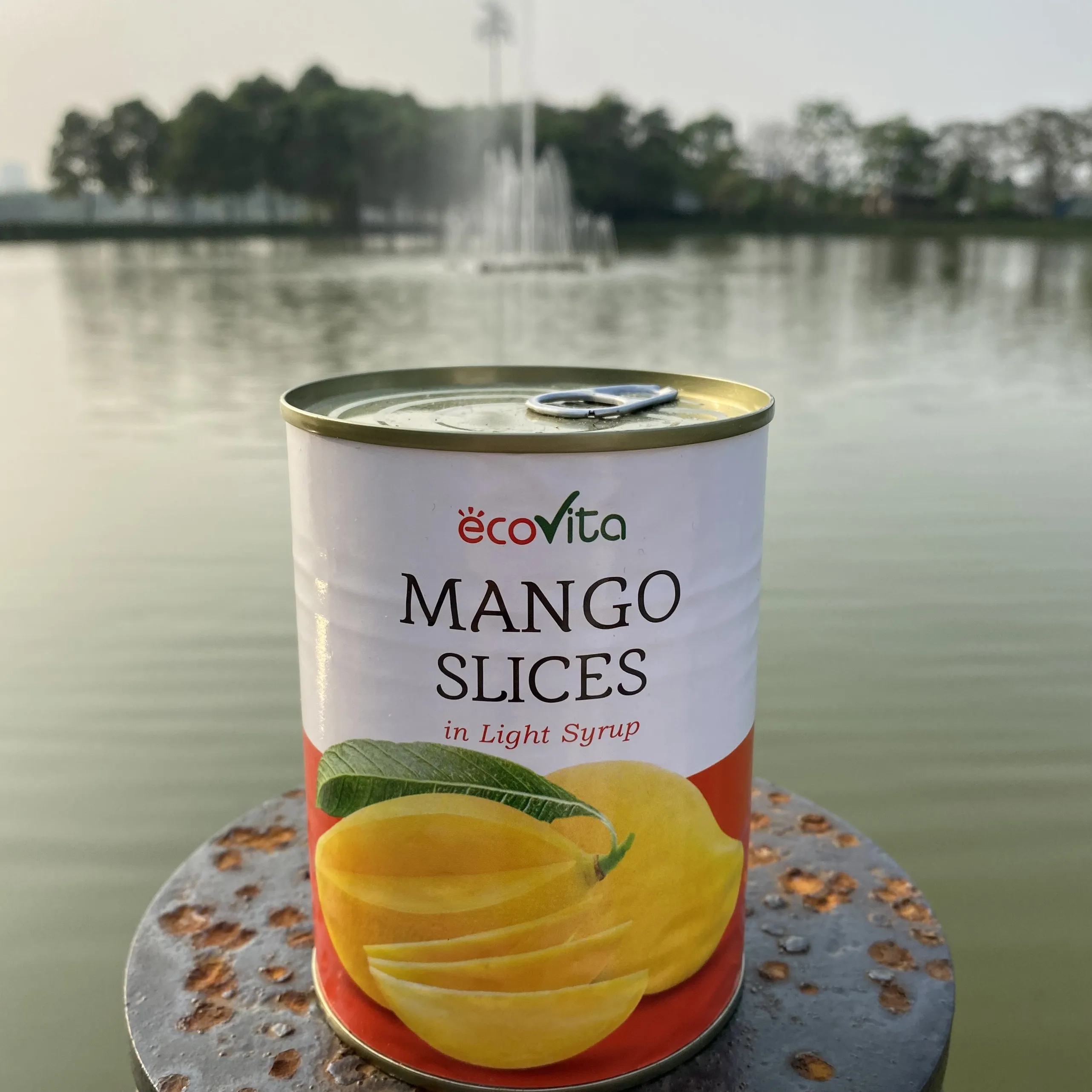 SUPER TASTY Cheap Price Vietnam Tropical Canned Fruit OEM Canned Mango In Light Syrup With Customized Packaging