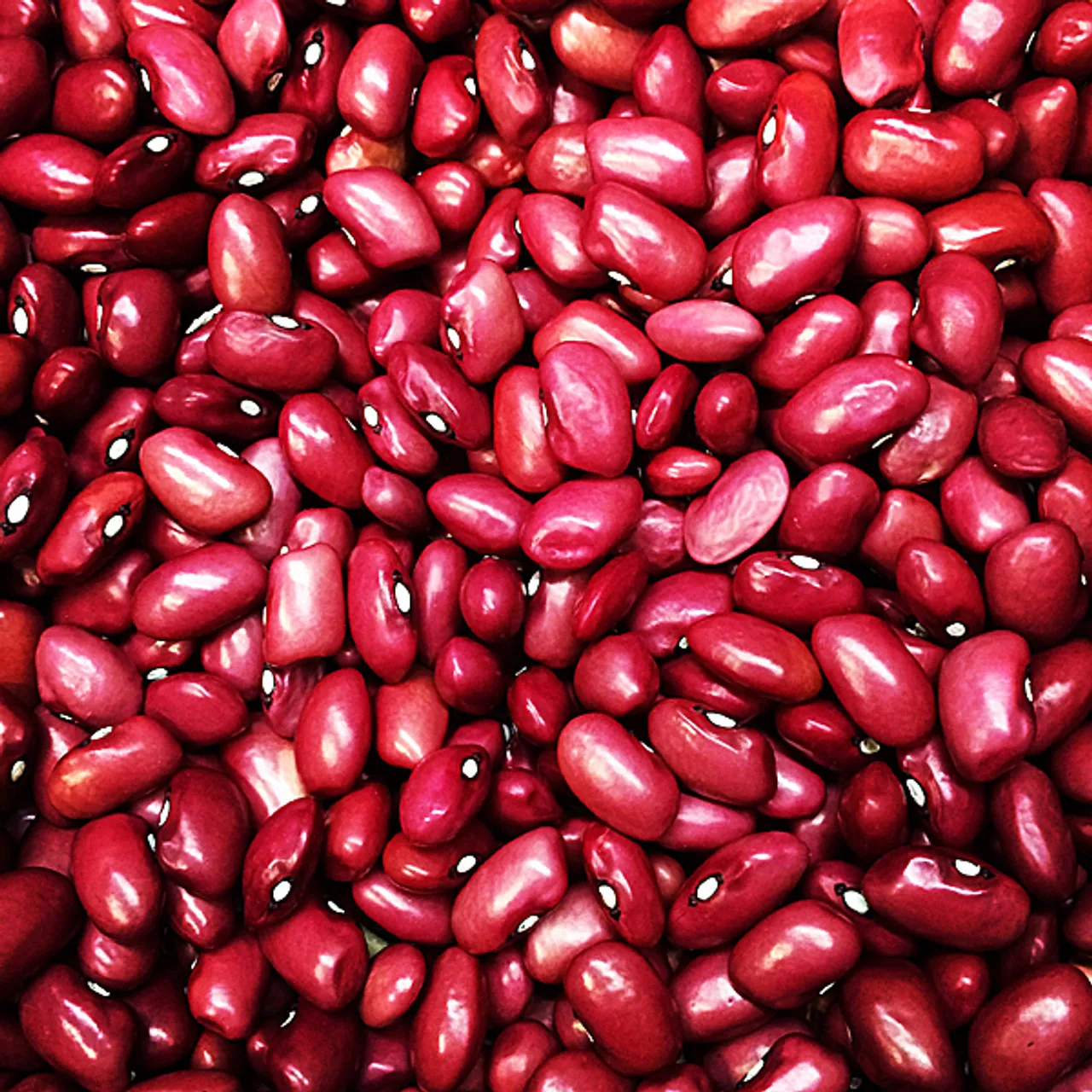 Red Kidney Beans Hot Selling Dark Red Kidney Beans With Export Price