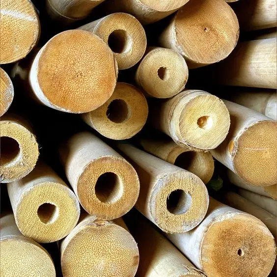 Sustainable bamboo high quality strong bamboo pole for garden decoration in Vietnam