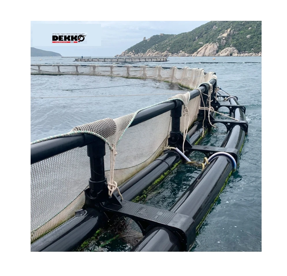 Аквакультура ловушки для морских клеток плавающая клетка рыбы HDPE двойная труба круглый плот высокого качества
