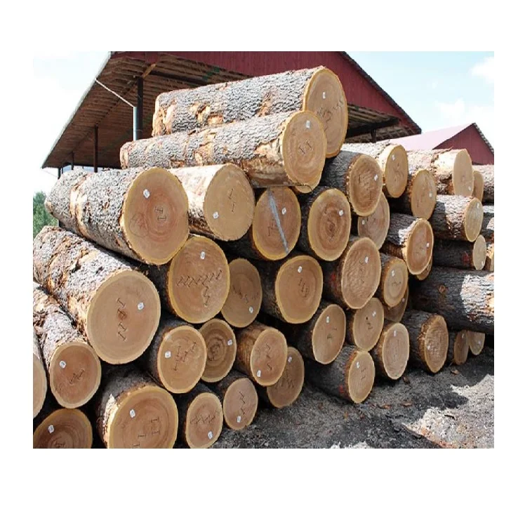 Buy Hardwood Logs Cheap Bulk Purchase Deals Quality Wood for Firewood and Woodworking Needs