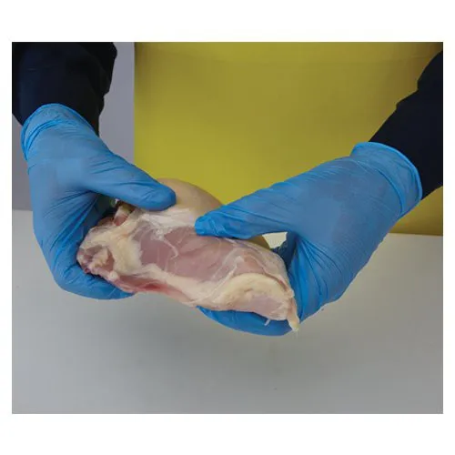 Blue Nitrile Examination Glove Powder Free - Medical And Food Grade Gloves From Malaysia - AQL 1.5