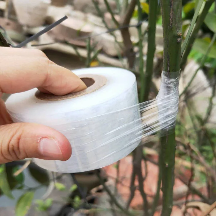 PE grafting film tree plant grafting wrapping film transparent stretch grafting tape film