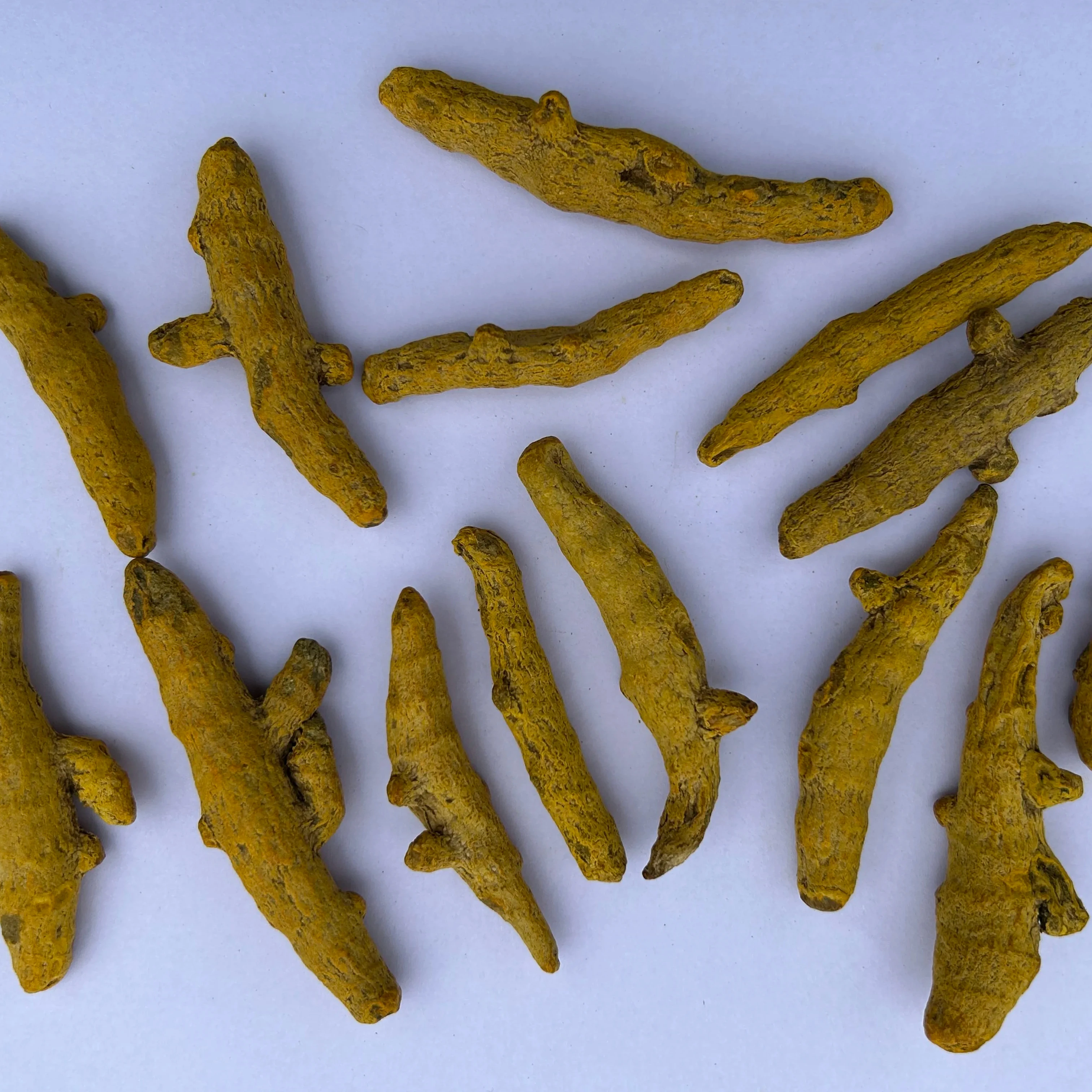 Глобальные поставщики куркумы doule polish curcuma корней медицинской и пищевой кулинарии куркумы оптовые поставщики по дешевой цене