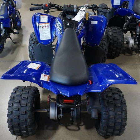 Yamaha Raptor 90