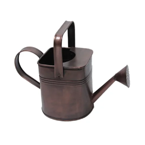 Home Garden Daily Usage Metal  Water Can Superior Quality Iron Metal Modern Design Custom Shape Watering Can