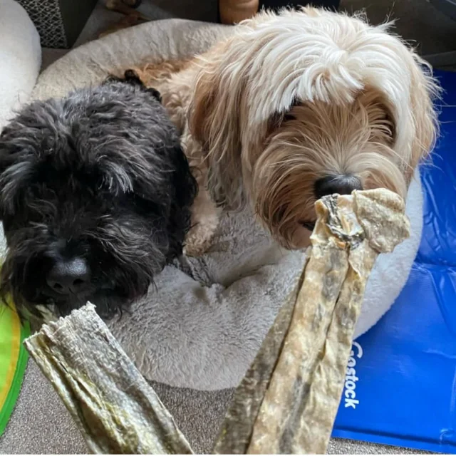 2024 Best Natural Fish Skin Chews Premium Basa Treats for Pets Dried Salmon with Salt Preserved Packaged in Bags