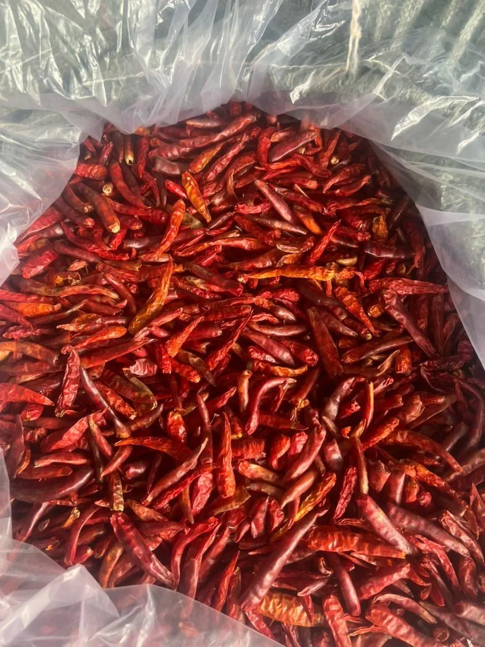 Hot Spicy Taste with Dried Red Chilies with or Without Stems Extremely Spicy Taste Made in Vietnam at Wholesale Price