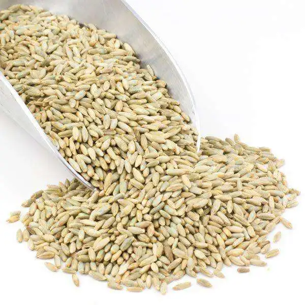 100% Pure Highest Quality Agriculture Grain Organic Rye for Bulk Purchase