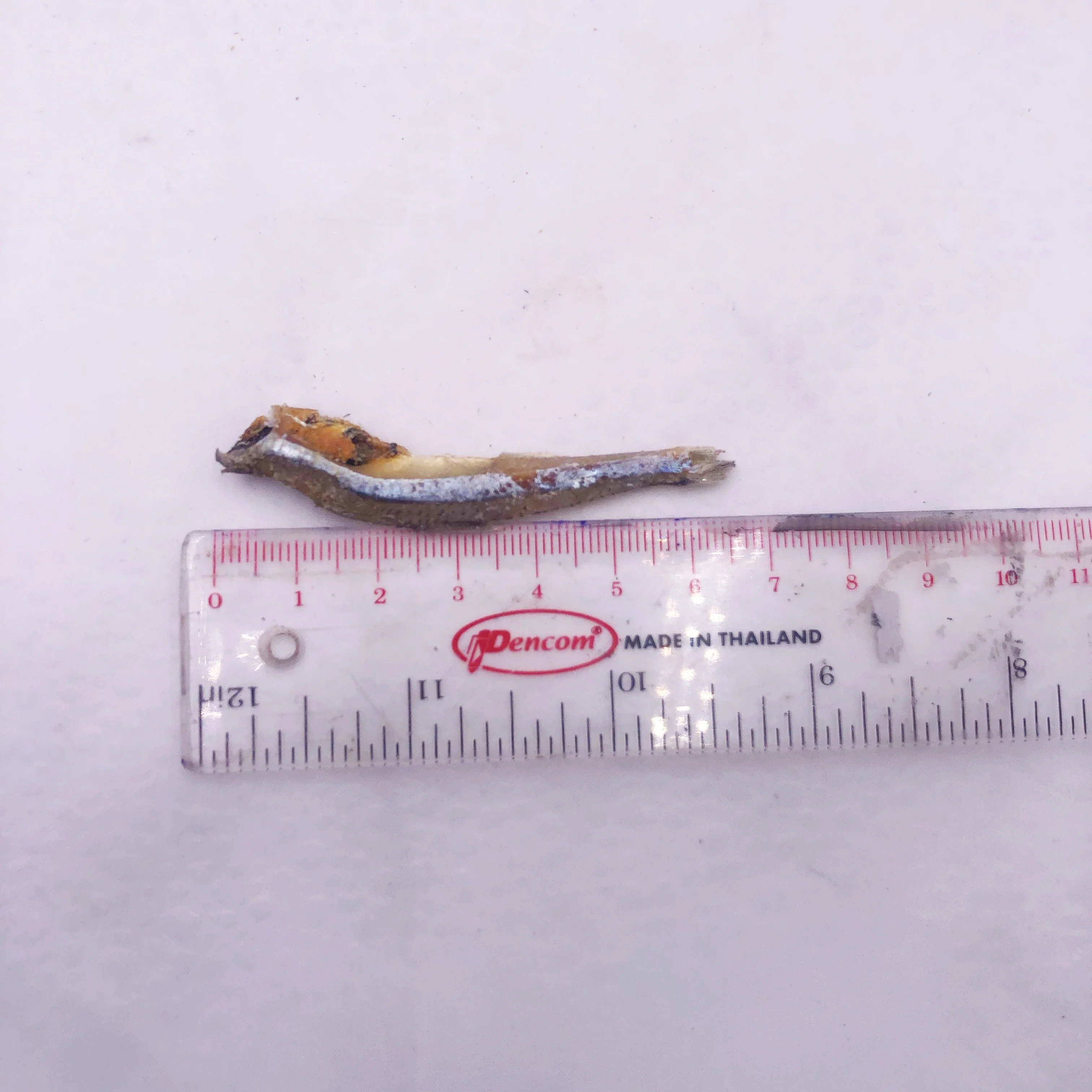 Good Quality Vacuum / Bag Packaging Impurities Removed Ho Nam L2 (5-7cm) Dried Anchovies With Head