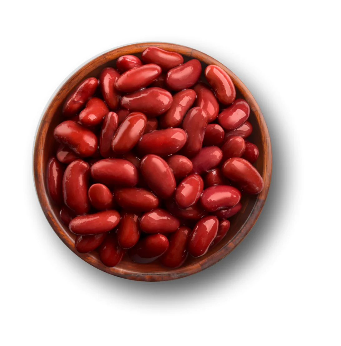canned red kidney beans in brine with good quality for whole world