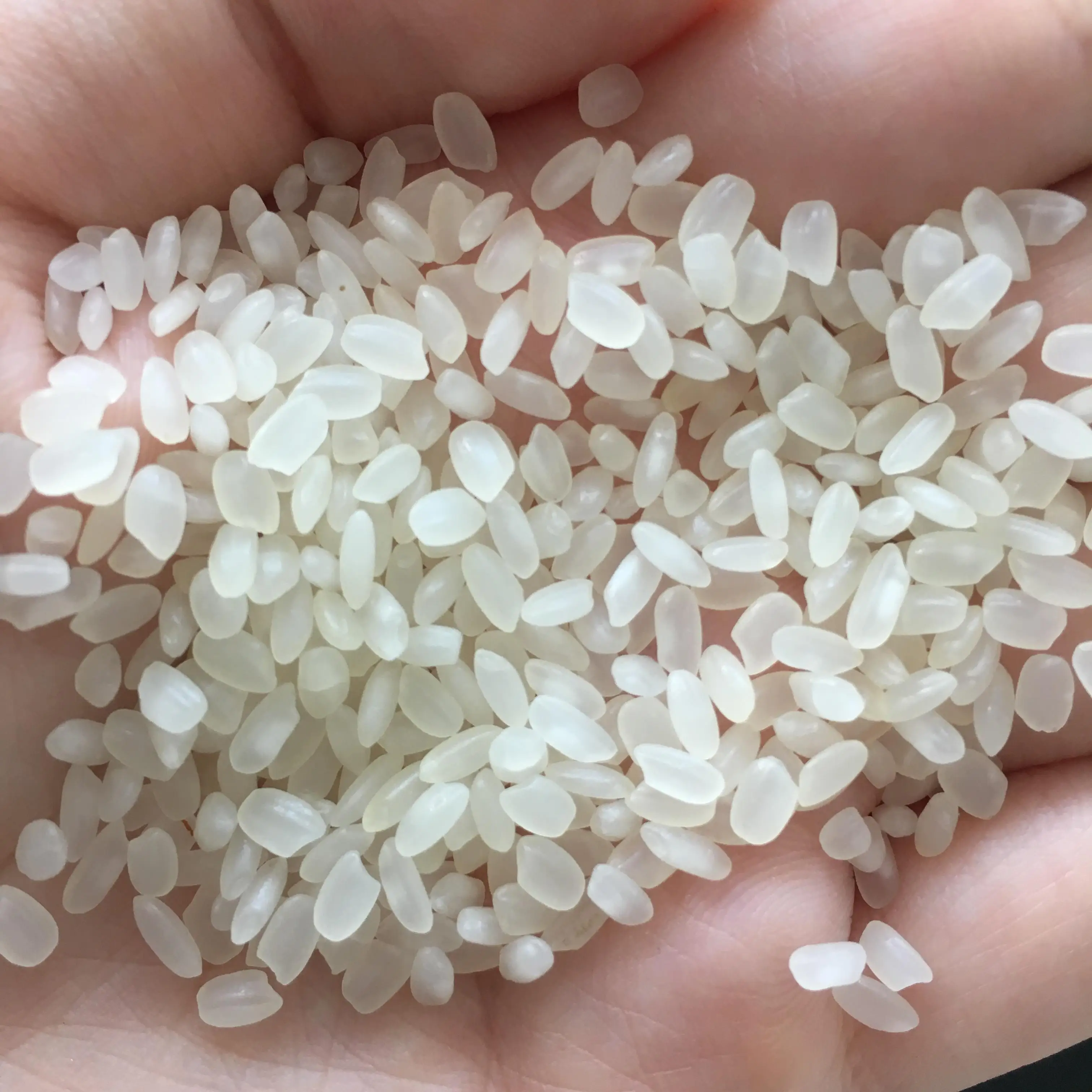 Vietnamese Rice Well mill and double polish F&B 5% Broken White Common Soft Texture AD Dried Style Calrose Round Grain Rice
