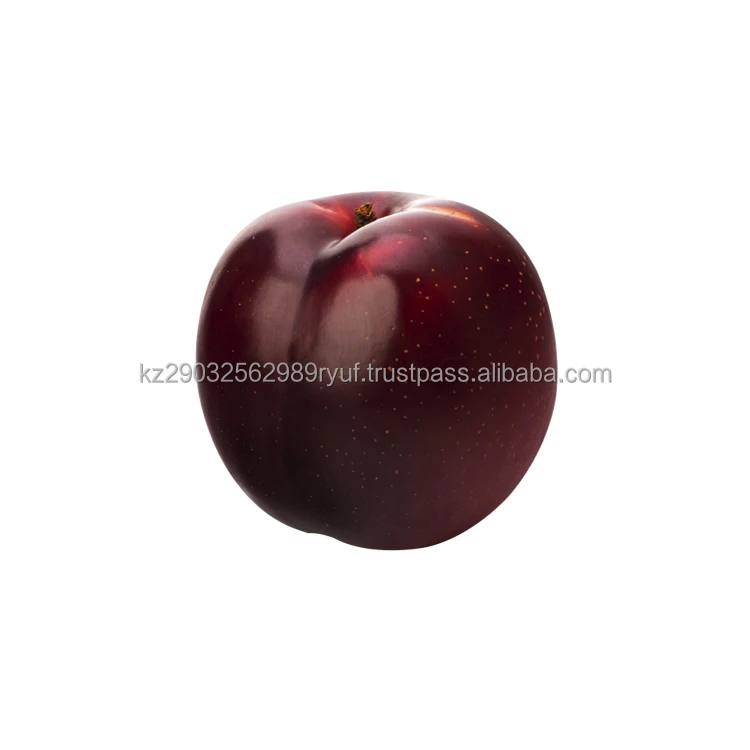Tender plum from Kazakhstan orange pulp juicy sweet and sour bright taste and delicate aroma