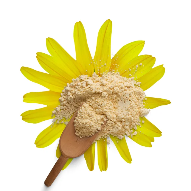 Hot Sale Pure Oil Soluble Arnica Montana Flower Extract Powder Cosmetic Grade Available at Bulk Quantity for Wholesale Worldwide