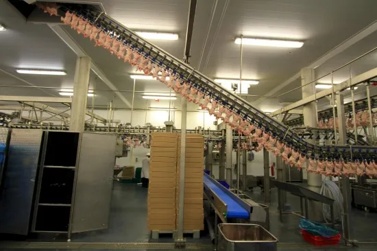 BRAZILIAN HALAL FROZEN WHOLE CHICKEN READY FOR EXPORT ANY PORT OF YOUR CHOICE