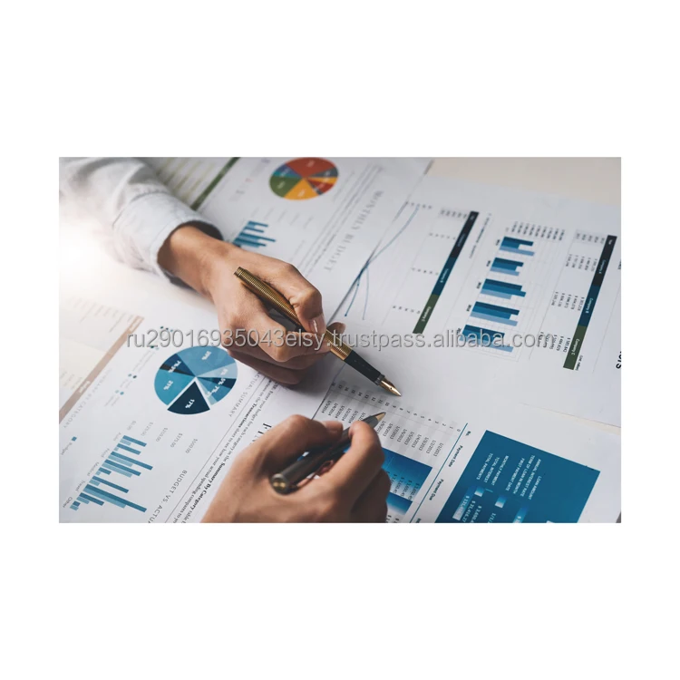Business services in Russia of investment project development from planning to business launch Dealing with government agencies