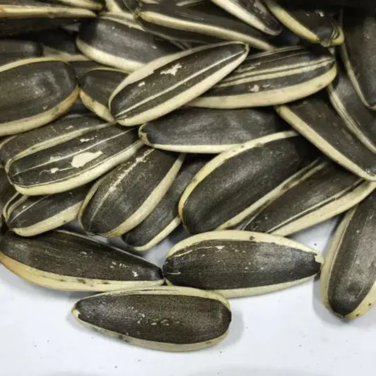 High Quality Sunflower seed for sale