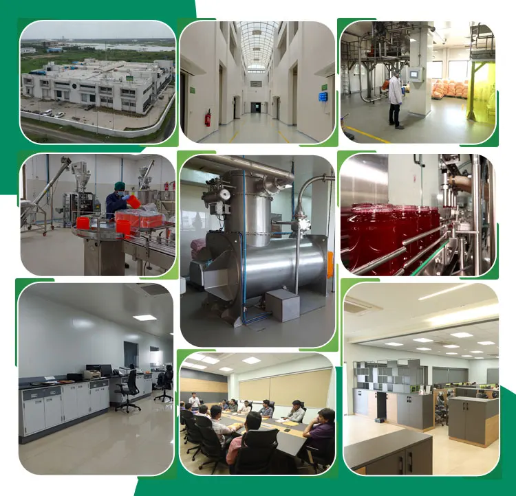 Hot Sale of Refreshing Natural Taste Sugar-Based Lemon Flavor Drink Powder for Instant Energy Boost at Superb Price