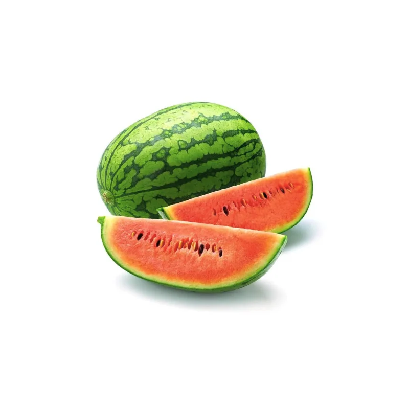 100% Natural Red Watermelon Fruit Wholesale Special Tropical Fruit Fresh Watermelon From Vietnam