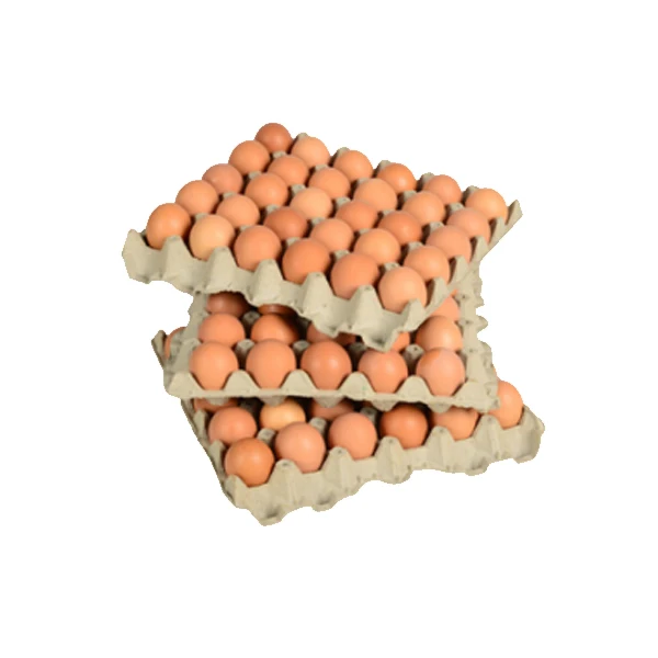 Top Selling Direct factory Price Fresh Quality 2022 New Arrival Chicken Table Eggs