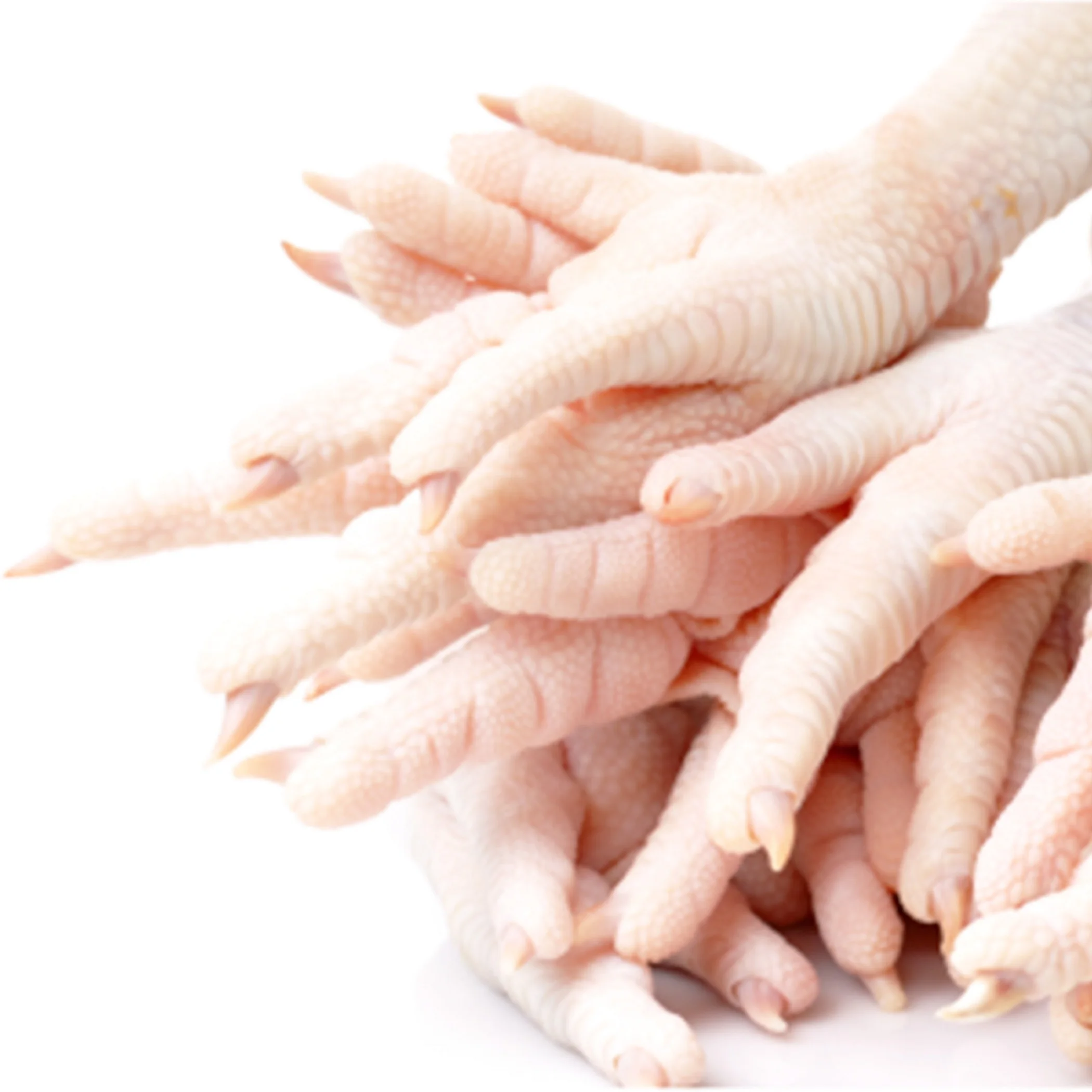 Chicken Paws frozen processed chicken paws from Pakistan/ a grade frozen chicken feet and paws