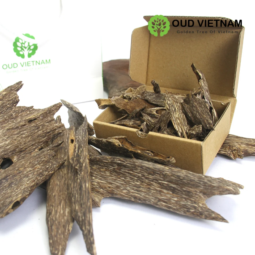 TOP The Best Cheapest Natural Ant Wood Oud Super Special Oud Sweet Luxurior Smell from PURE OUD WOOD