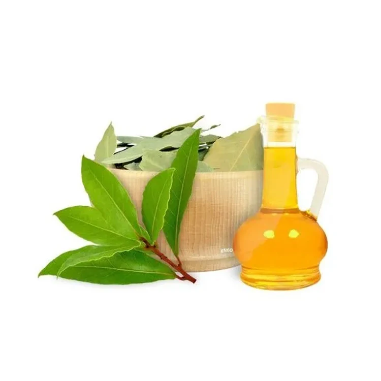 Leading Supplier and Exporter of 100% Pure Natural Aromatherapy Grade Laurel Leaf Essential Oil for Perfumery & Aromatherapy