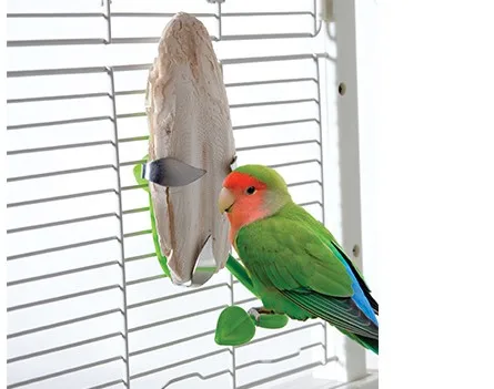 BEST PRICE I A special gift for your birds - Natural Cuttlefish Bone/Dried Cuttlebone From Vietnam/Ms.Thi +84 988 872 713