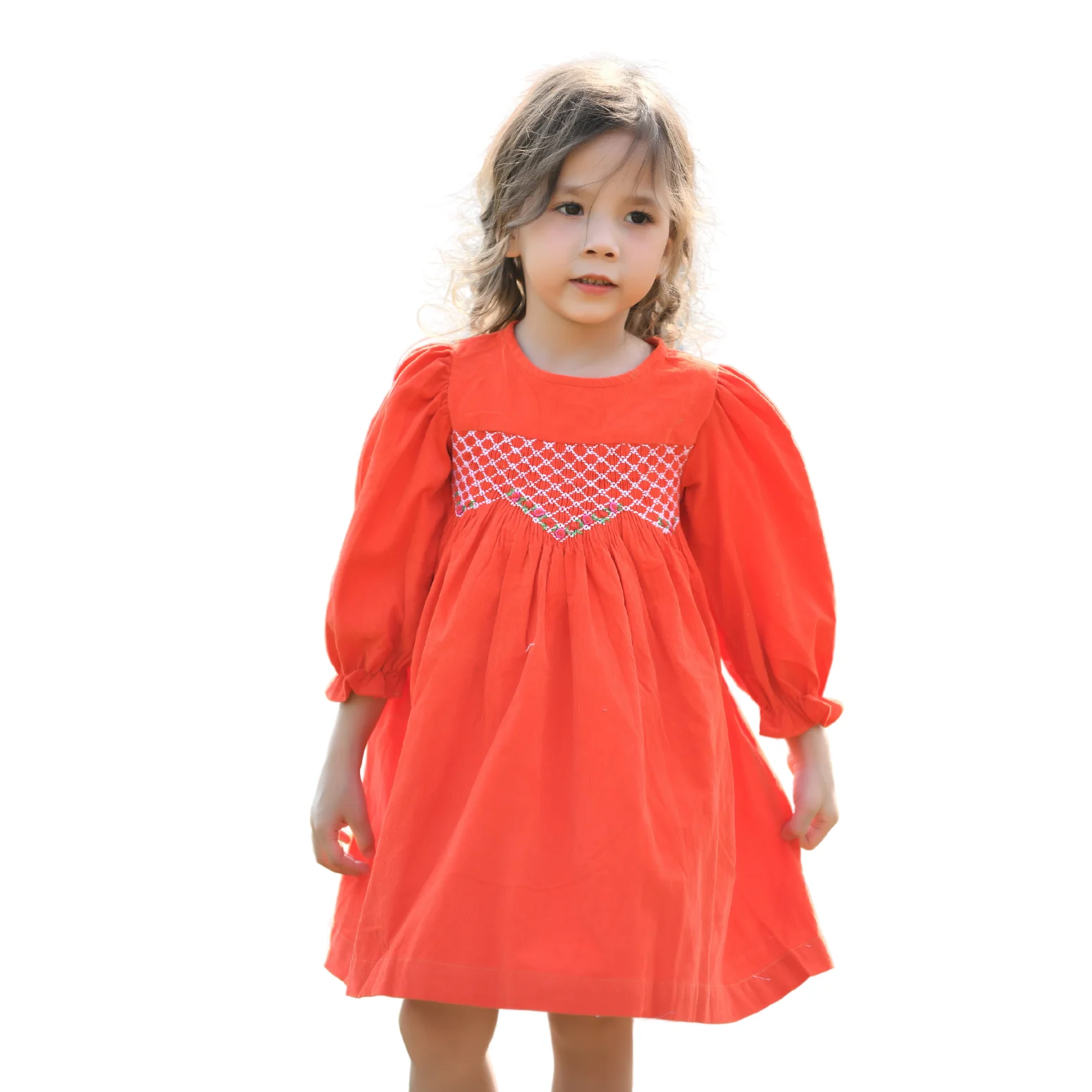 New Arrivals Wholesale Smock Christmas Dresses For Kids Little Girls Sleeves Girls Party High Quality Clothes Baby Girl OEM ODM