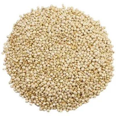 Wholesale Supplier of Organic Seeds White Quinoa Grains Health care Grains Bulk Stock With Fast Shipping