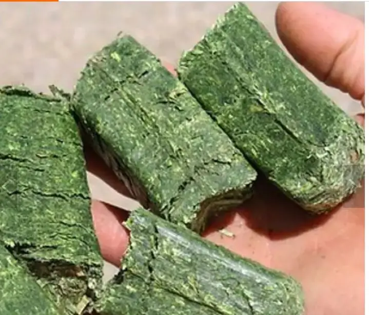 Buy Organic Alfalfa Grass Hay/ Alfalfa Hay Pellets For Animal Feed For Sale Bulk