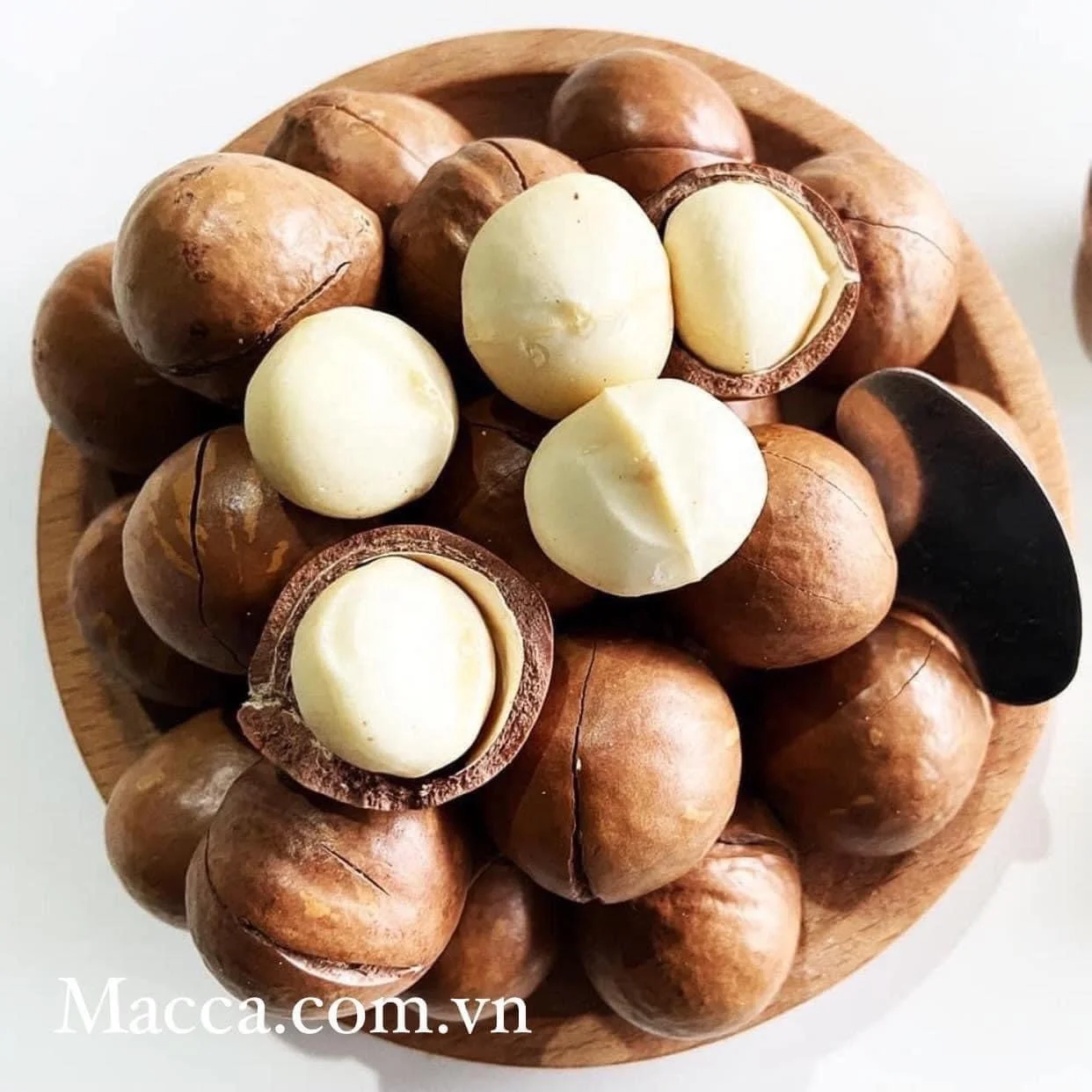 Top Grade Roasted Macadamia Nuts Good Quality Salted in Shell Whole 22-25 mm Origin