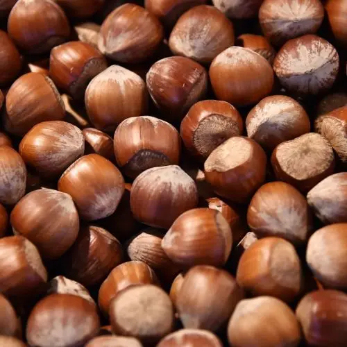 New crop chestnut price/Chestnut from Belgium/Wholesale chestnut