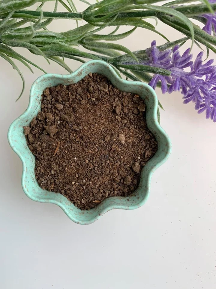 Chicken manure organic fertilizer made in Japan high quality and organic matter wholesale