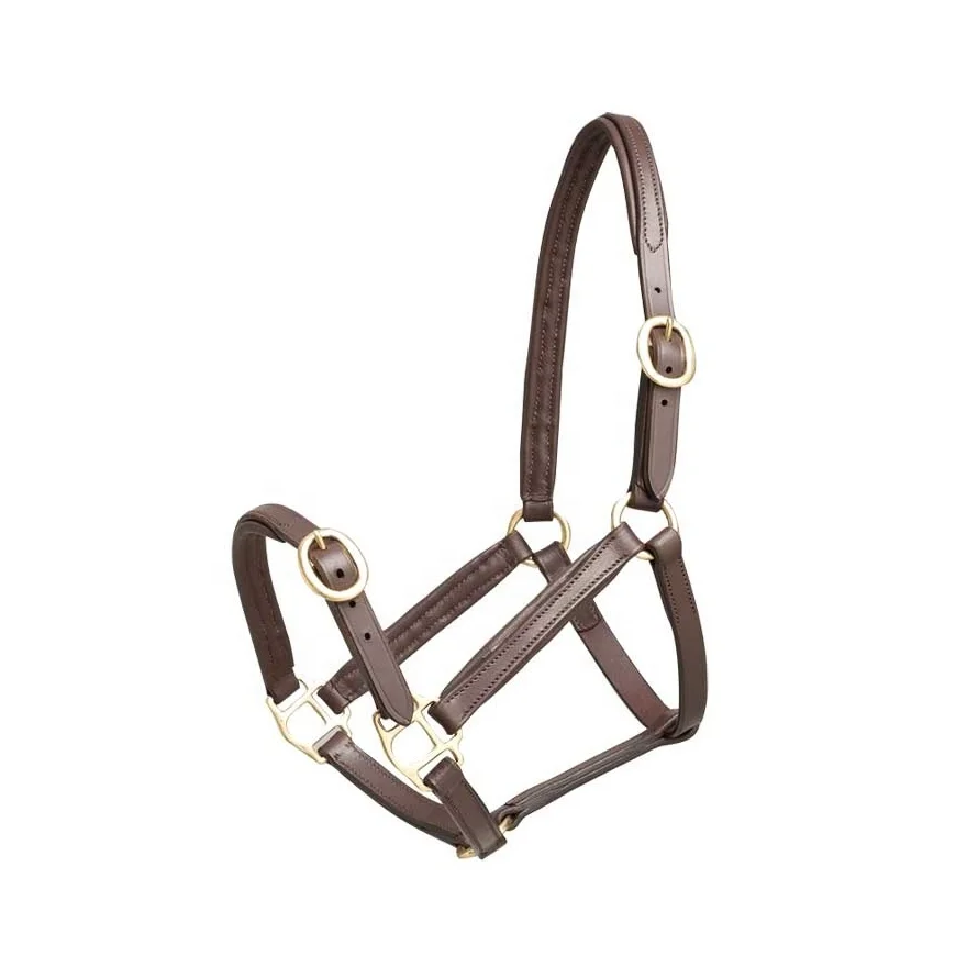 High Quality Outdoor Sports Horse Riding Equipment Adjustable Horse Halter Horse Bridle New Nylon Head Collar