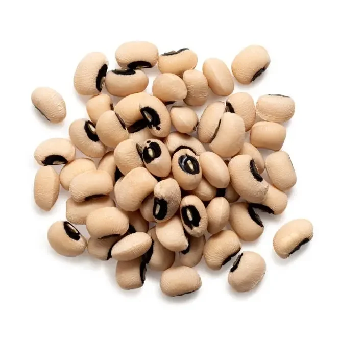 Solid Natural Black Eye White Beans Cowpea Beans Organic Black Eye White Beans for Sale