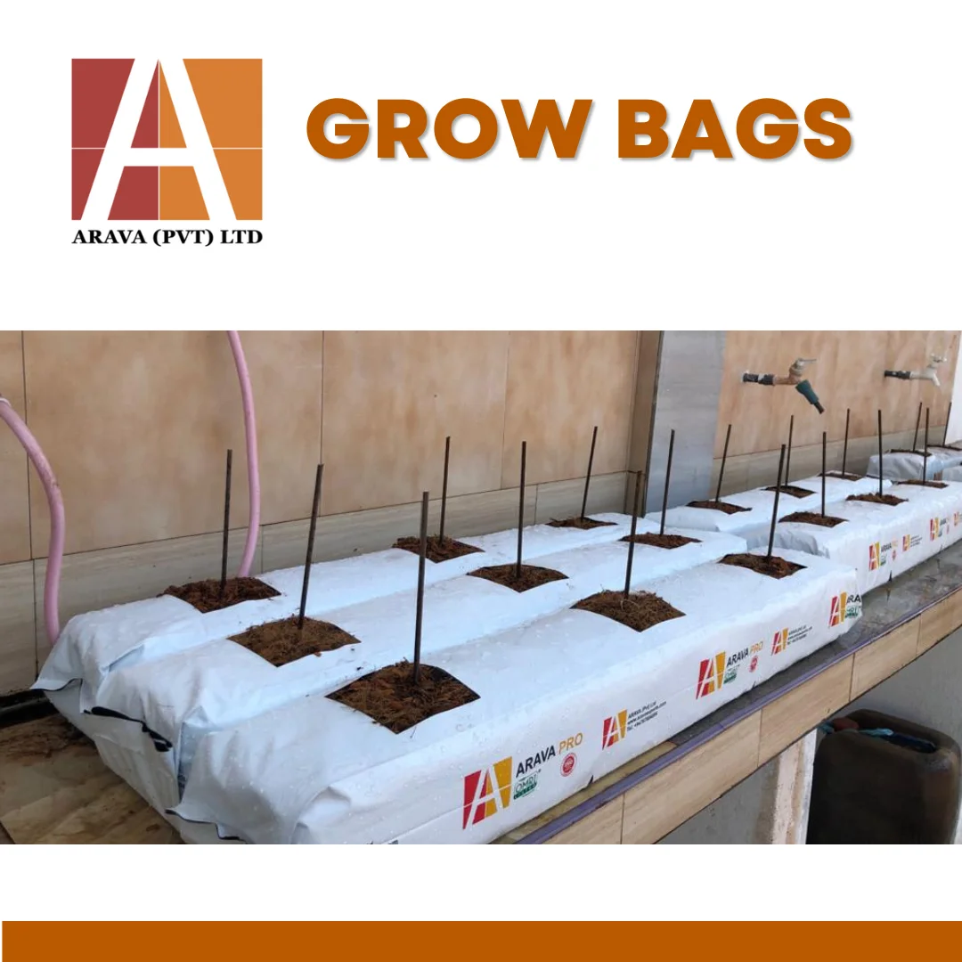 Coco Peat Grow Bags for Hydroponic cultivation Tomatoes for South Korean Agriculture Industry