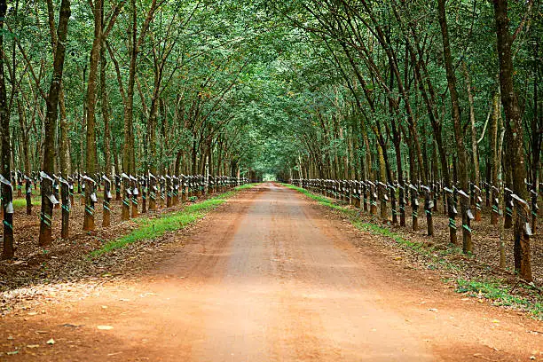 Premium NBR Latex Nitrile Liquid Rubber Nitrile Butadiene Latex Raw Material