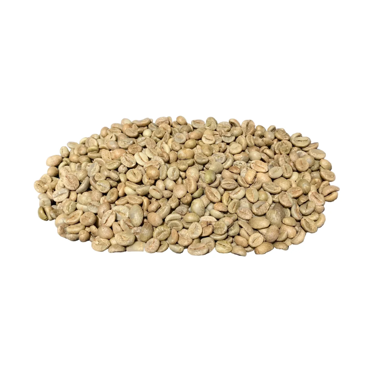 Best Price - New crop 2023 Vietnam green coffee beans Robusta coffee bean fast shipping cheap