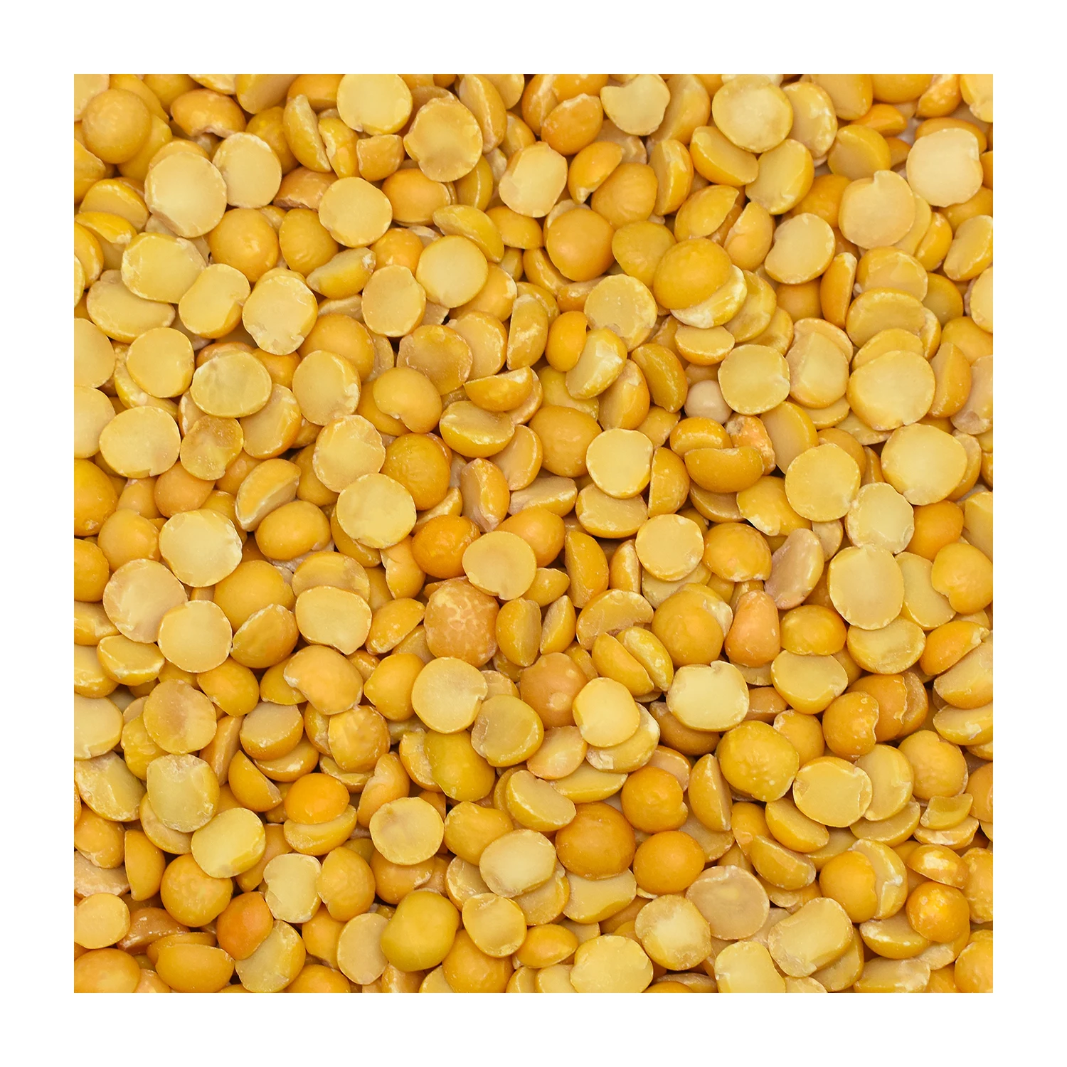 Pea Yellow Pea High Premium Top Quality 2022 Hot Selling Legumes Turkish 25kg Certificate Packing Natural Wholesale Pea Price