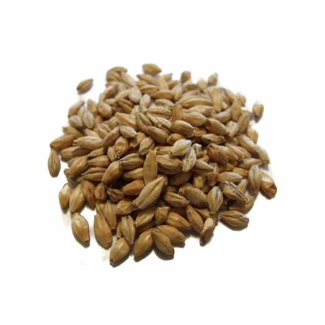 high Quality wheat Grains / Organic Soft Wheat Grains in bulk Quantity Available